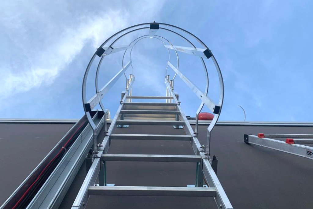 scale-alla-marinara-con-gabbia-di-sicurezza